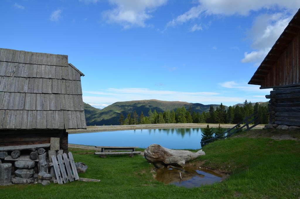 Gasthaus Rieglerhuette Санкт-Лоренцен-об-Мурау Экстерьер фото